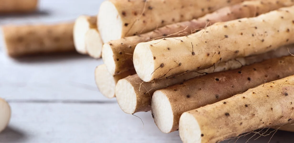 Gélules de complément alimentaire au yam sauvage pour le confort hormonal.