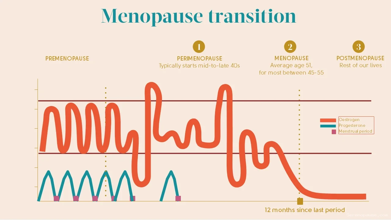 Gynécologue expliquant les changements hormonaux de la ménopause à une patiente