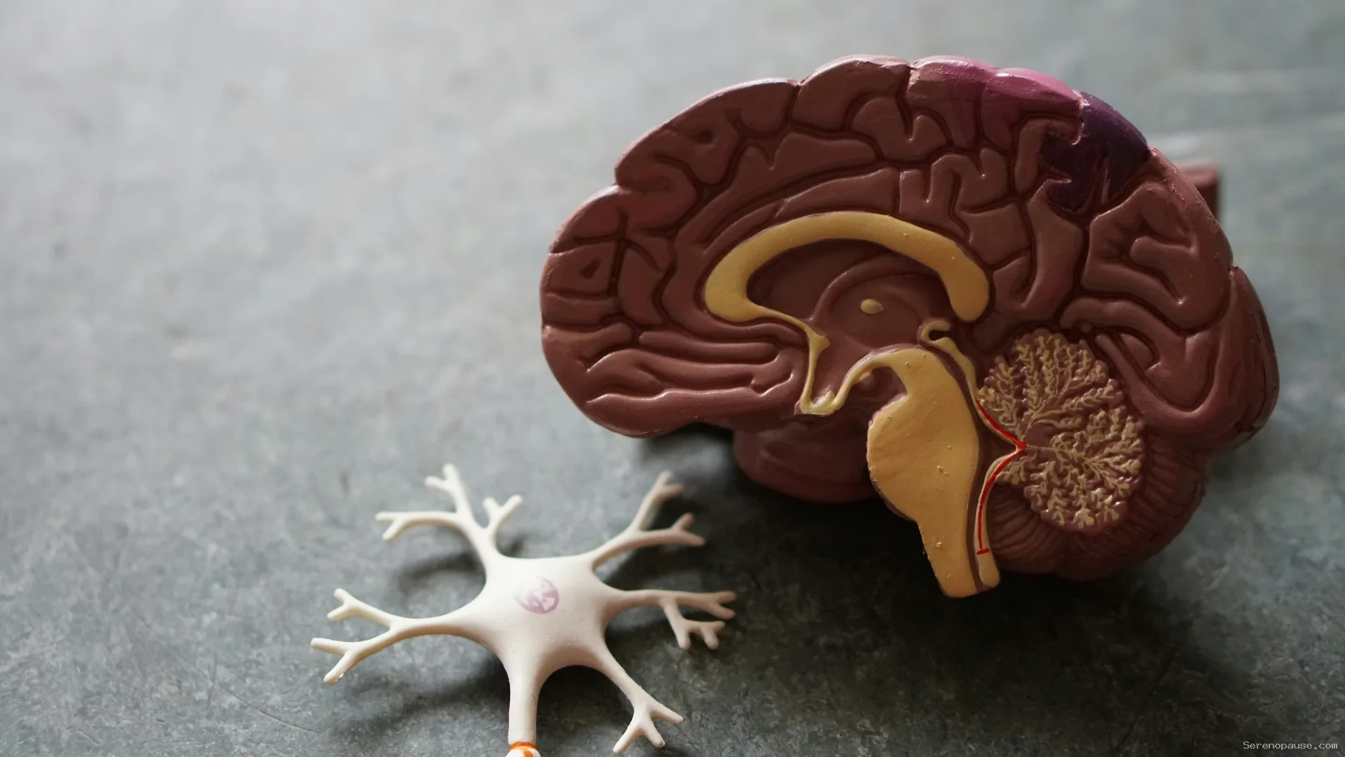 Femme souriante et sereine après avoir équilibré ses hormones