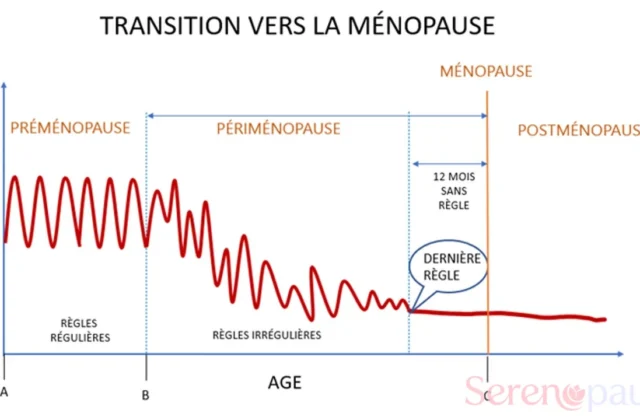 Schéma de la transition hormonale entre préménopause, périménopause, ménopause et postménopause
