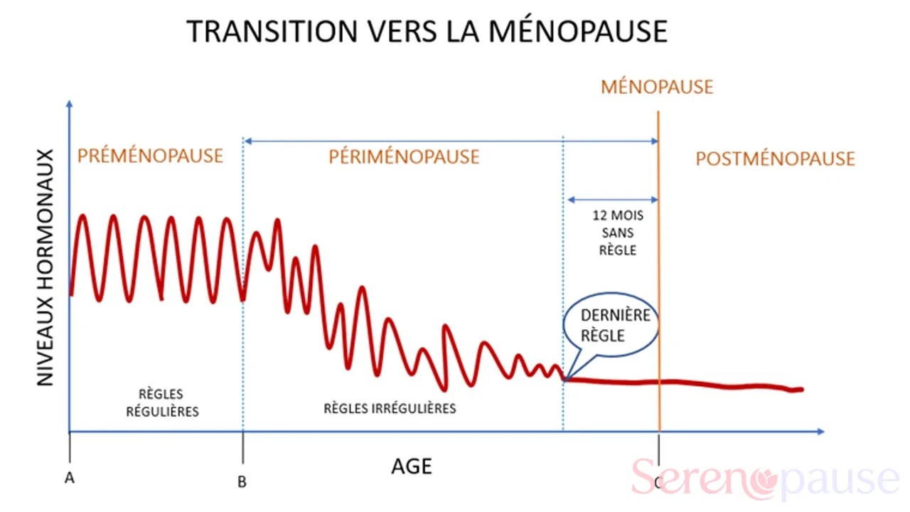 Schéma de la transition hormonale entre préménopause, périménopause, ménopause et postménopause